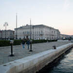 Green pass, Porto Trieste: test gratis spaccano fronte della protesta ma lo sciopero è confermato