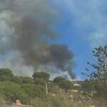 Incendio boschivo all’Isola d’Elba