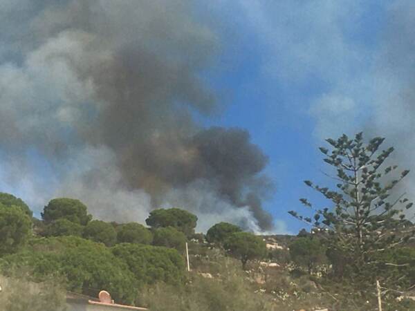 Incendio boschivo all’Isola d’Elba