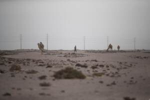 Incidente nel deserto in Arabia Saudita: morti tre ballerini italiani