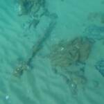 Israele, scoperta una spada sui fondali del Mediterraneo: risale alle Crociate