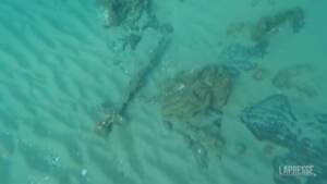 Israele, scoperta una spada sui fondali del Mediterraneo: risale alle Crociate