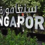 Expo 2020: lo spettacolare padiglione “green” di Singapore