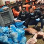 Modena, blitz del Nas in uno stabilimento: sequestrate oltre 20 tonnellate di carne suina