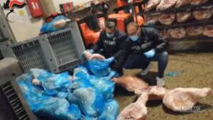 Modena, blitz del Nas in uno stabilimento: sequestrate oltre 20 tonnellate di carne suina