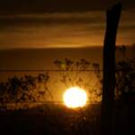 Oroscopo settimanale dal 25 al 31 ottobre, Ariete: Vera e propria rinascita sentimentale