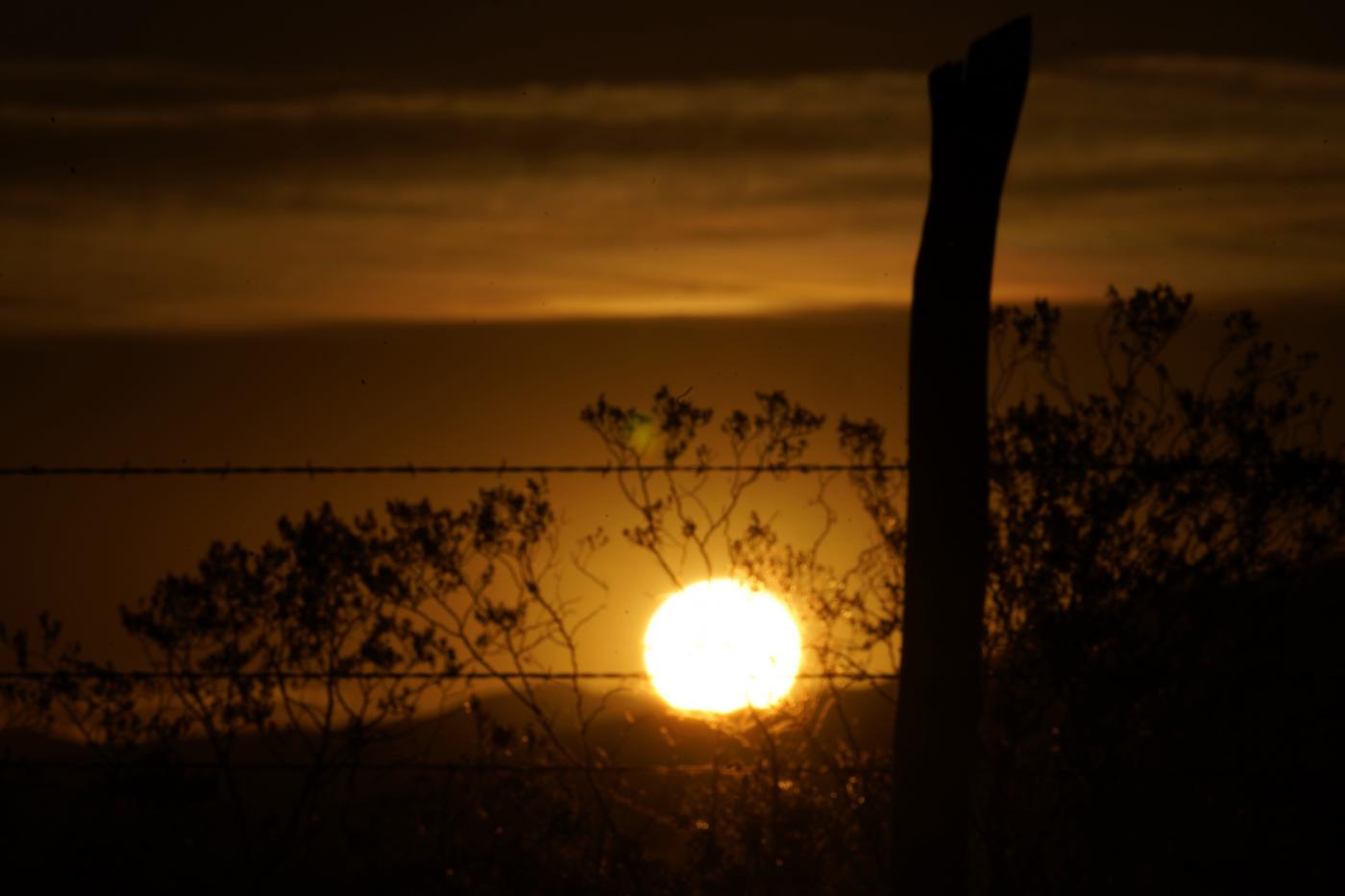 Oroscopo settimanale dal 25 al 31 ottobre, Ariete: Vera e propria rinascita sentimentale Oroscopo settimanale dal 25 al 31 ottobre, Ariete: Vera e propria rinascita sentimentale