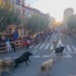 Spagna, tre feriti nella corsa dei tori a Tafalla