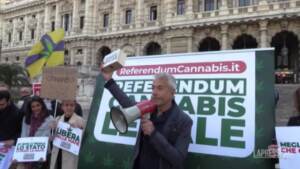 Referendum cannabis, consegnate in Cassazione 630mila firme per la legalizzazione