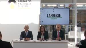 Editoria, nasce il canale LaPresse Green
