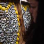 Usa, da una sola pietra a 3mila: cresce il memoriale delle vittime Covid in New Jersey