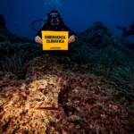 Clima, Greenpeace analizza le temperature del mare: a +1,5 gradi sul 2020