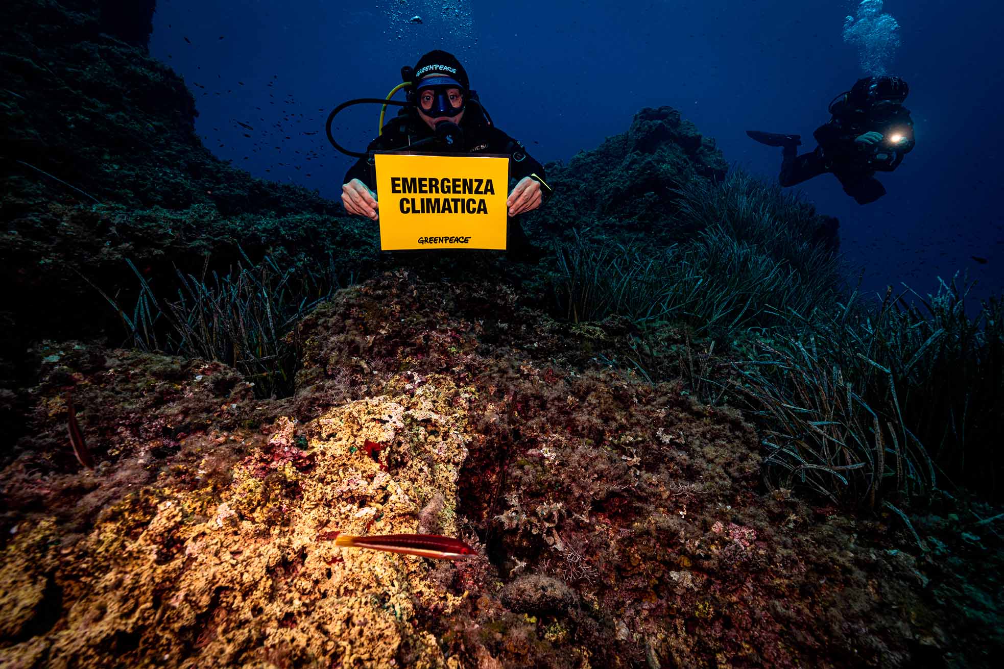 Clima, Greenpeace analizza le temperature del mare: a +1,5 gradi sul 2020