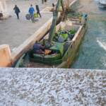 Venezia, polemica per banchi a rotelle buttati via: la foto fa il giro dei social