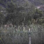 I camion algerini nel Sahara orientale