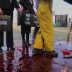 Cop26, flash mob di Ocean Rebellion contro la pesca industriale: finti pesci morti e sangue a terra