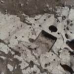 Iraq, emerge dagli scavi un’azienda di produzione del vino di tremila anni fa