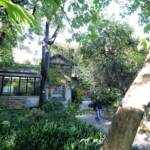 Cop26: Coldiretti, nasce in Italia ‘oasi salva clima’