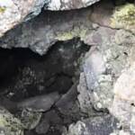 Catania, rinvenuti resti umani in grotta alle pendici dell’Etna