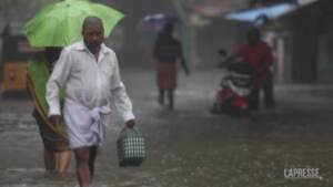 India: piogge torrenziale nel Sud, 14 morti