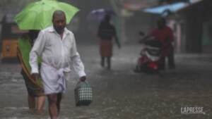 India, piogge torrenziale nel Sud: 14 morti