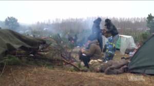 Migranti bloccati al confine tra Polonia e Bielorussia, tende e giacigli di fortuna
