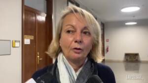‘Ndrangheta, coordinatrice Dda: “Da reati predatori sono diventati una società per affari”