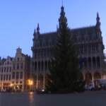 A Bruxelles si pensa al Natale nonostante il Covid, alzato albero di 18 metri in centro