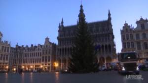 A Bruxelles si pensa al Natale nonostante il Covid, alzato albero di 18 metri in centro
