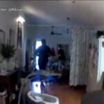 Usa, sbattuta contro la tv e malmenata: la denuncia dell’ex compagna dell’ex giocatore dei New York Jets Zac Stacy