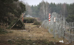 Bielorussia: bimbo di 1 anno muore nella foresta. G7 a Minsk, stop a campagna aggressiva