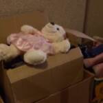 Polonia, i volontari portano aiuti ai migranti al confine