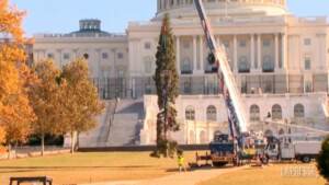Usa, a Capitol Hill arriva l’albero di Natale