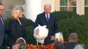 Usa, Biden ‘grazia’ due tacchini in vista del Ringraziamento