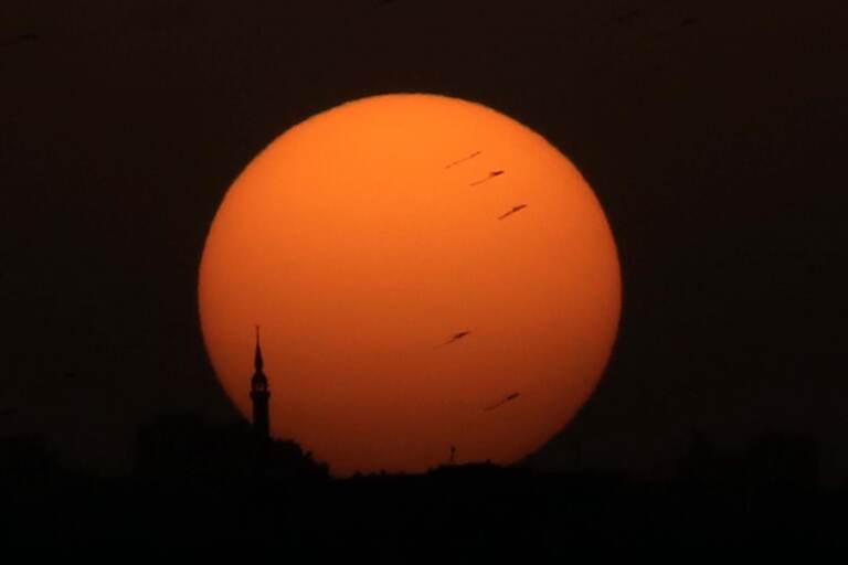 Volano aquiloni nel cielo di Amman