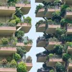 Giornata degli alberi, Coldiretti: 300 mila nuove piante grazie al bonus verde