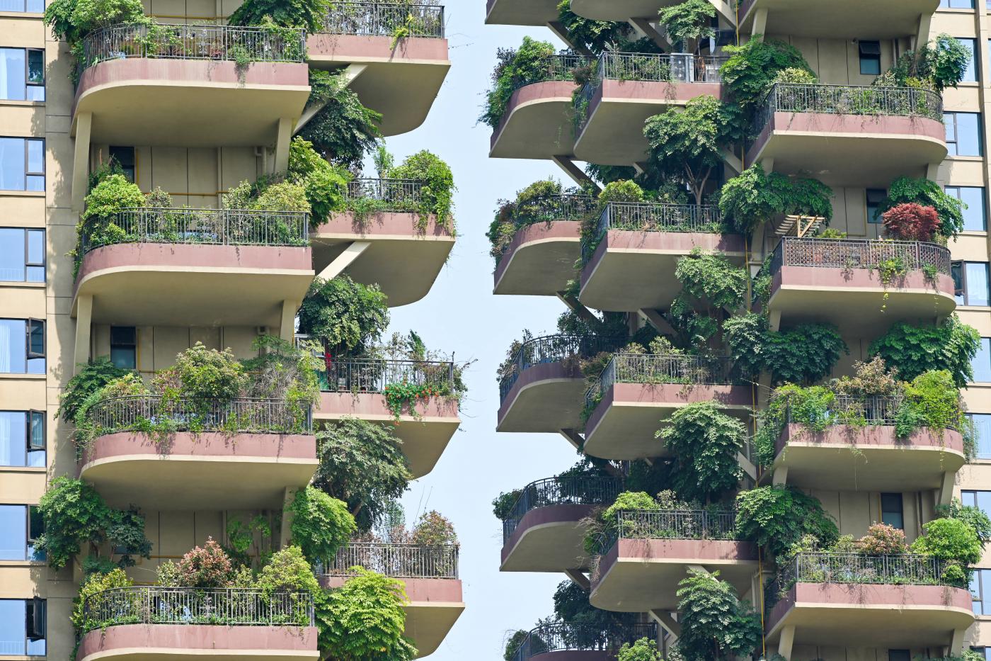 Giornata degli alberi, Coldiretti: 300 mila nuove piante grazie al bonus verde