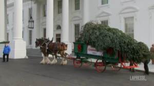Casa Bianca: arriva l’albero di Natale e lo accoglie Jill Biden