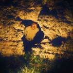 Musica: nuovo Ep per Ainè, esce oggi ‘Alchimia’