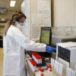 Covid, cos’è la nuova variante sudafricana che spaventa il mondo | SCHEDA