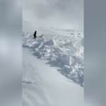 Valle d’Aosta: valanga su piste da sci a Valtournenche, travolto 58enne