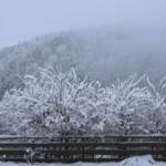 Maltempo al Sud e poi ancora al Nord Est, le previsioni meteo per i prossimi giorni