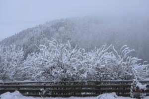Maltempo, è arrivata la neve in Alto Adige