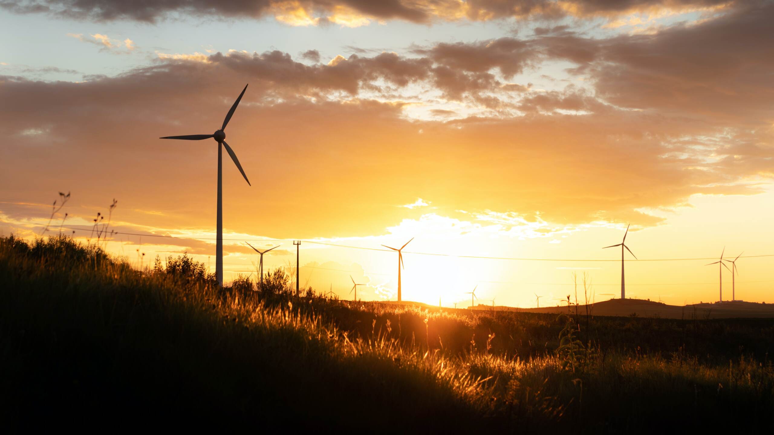 Energia, le rinnovabili crescono del 267% in 20 anni