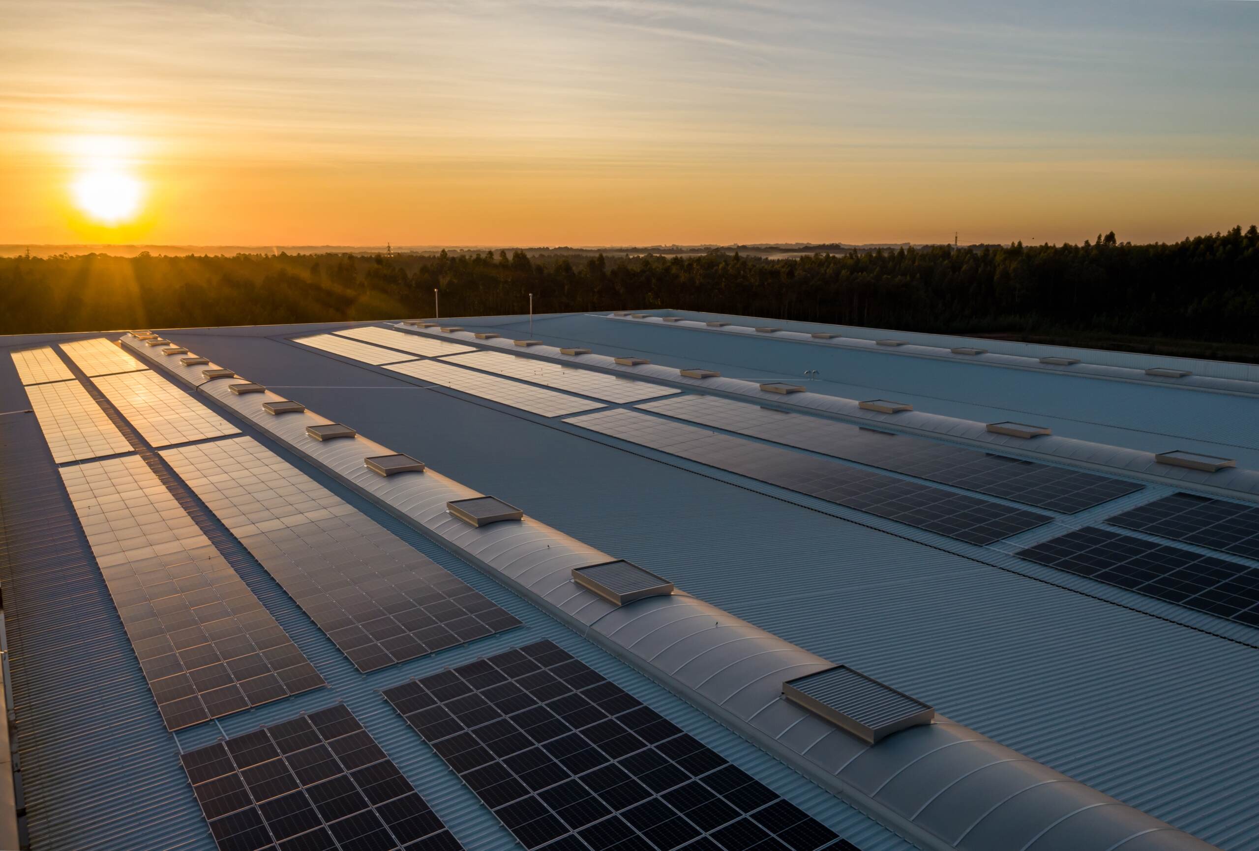 Energia, Ef solare Italia: arrivati a 30 GW fotovoltaico nel 2023