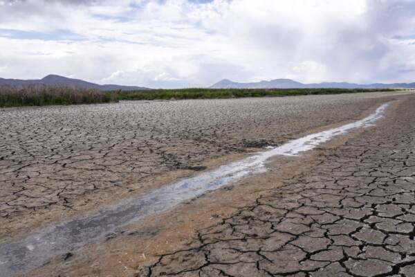 Fao: “Perdiamo 500 ettari suolo ogni 30 minuti, minaccia a sicurezza alimentare”