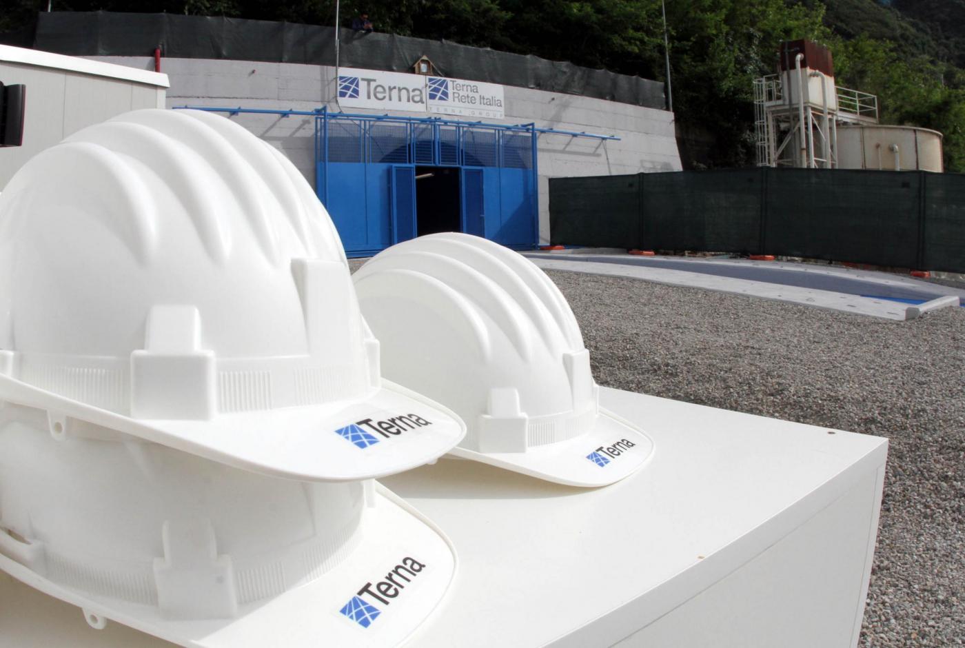 Terna: tra i leader nella lotta al cambiamento climatico