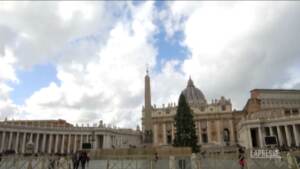 Vaticano, arrivano a San Pietro l’albero delle Dolomiti e la Natività del Perù