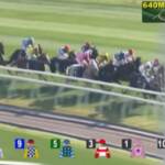 Hong Kong: grave incidente all’ippodromo, due cavalli abbattuti