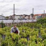 Cibo: Legambiente, in tavola 35% prodotti con residui di pesticidi